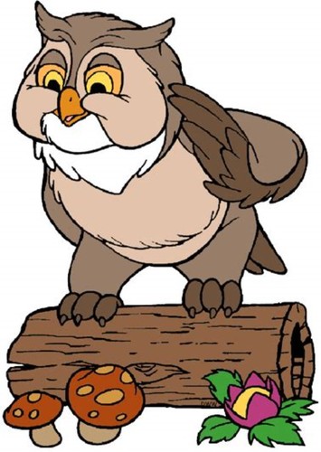 Friend Owl